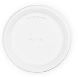 Disposable Plate, Paper, 9 inch