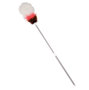 Duster, Extendable, 42''